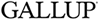 Gallup