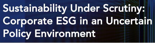 Sustainability under Scrutiny